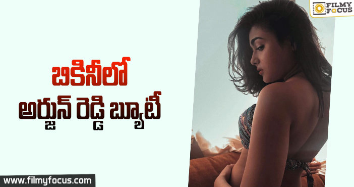 సడన్ షాక్ ఇచ్చిన స్వీట్ గర్ల్ షాలిని పాండే