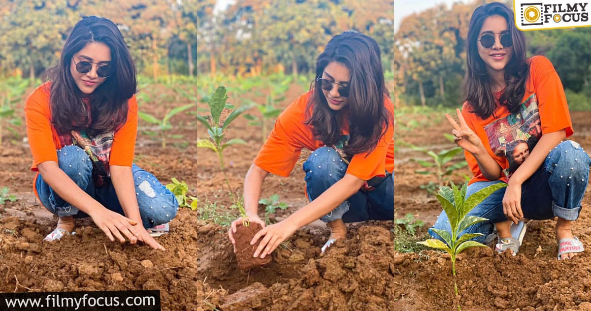 గ్రీన్ ఇండియా ఛాలెంజ్ లో భాగంగా మొక్కలు నాటిన ప్రముఖ టాలీవుడ్ నటి నబా నటేష్