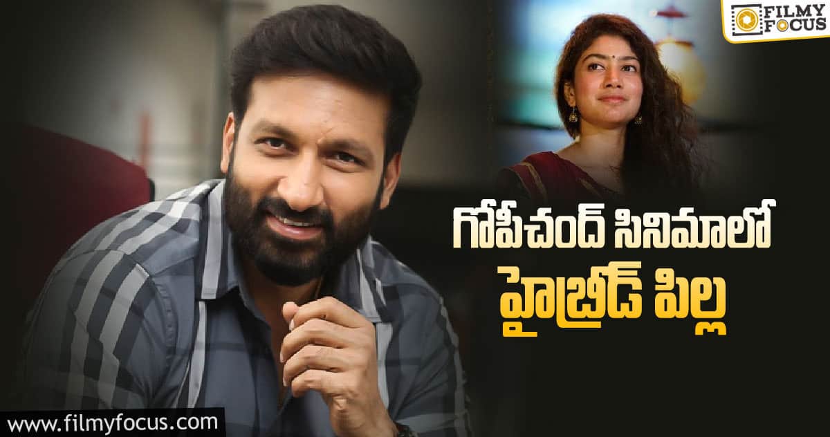 గోపిచంద్ – మారుతి..  హీరోయిన్స్ ఫిక్స్