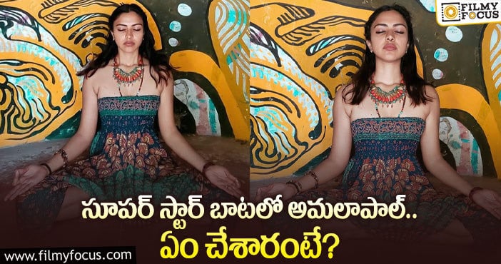 Amala Paul: ఈ ఏడాదైనా అమలా పాల్ కు కలిసొస్తుందా..?