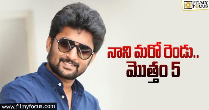 Hero Nani: మరోసారి పవర్ఫుల్ దర్శకుడితో..