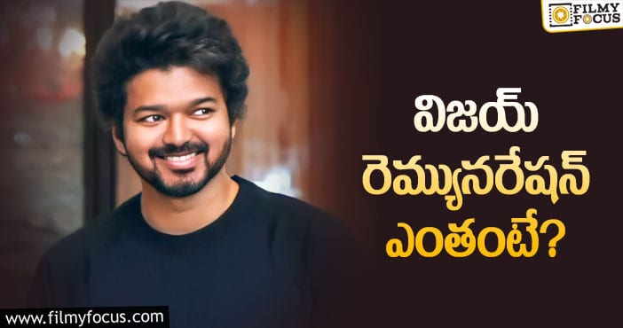 Vijay: హీరోకే అంతిస్తే.. ఇక బడ్జెట్ ఎంతో..?