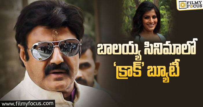 Varalaxmi Sarathkumar, Balakrishna: మరో క్రేజీ ఛాన్స్ కొట్టేసిన వరలక్ష్మీ!