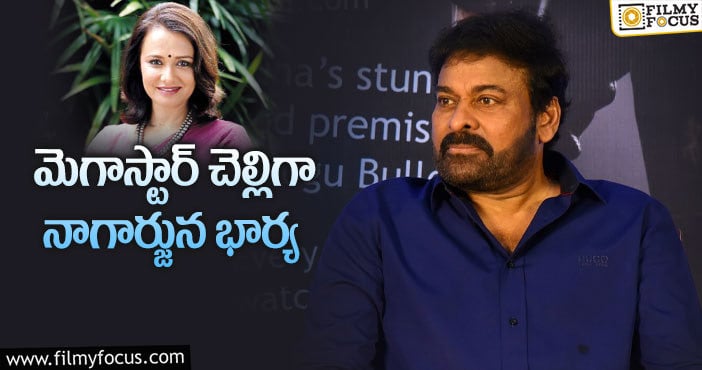 Amala, Chiranjeevi: ఆ పాత్రకు అమల ఒప్పుకుంటారా?