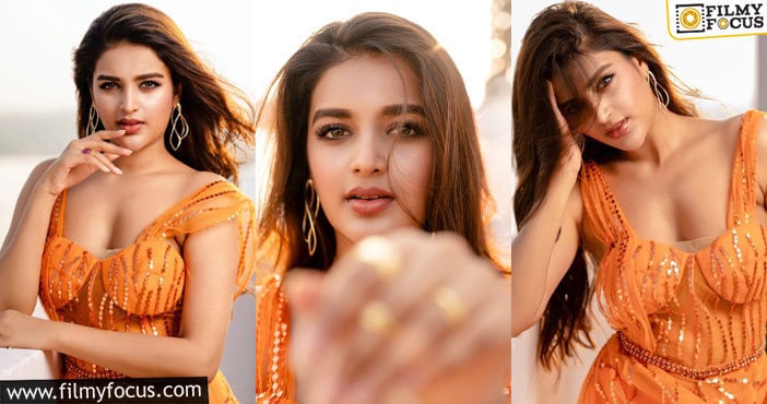 Nidhhi Agerwal: అందాల నిధి అదరహో.. లేటెస్ట్ ఫోటోలు వైరల్..!