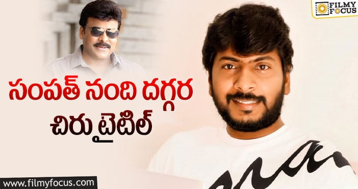 Chiranjeevi: గోపీచంద్ డైరెక్టర్ కు మెగాస్టార్ టైటిల్ కు సంబంధం ఏంటి?