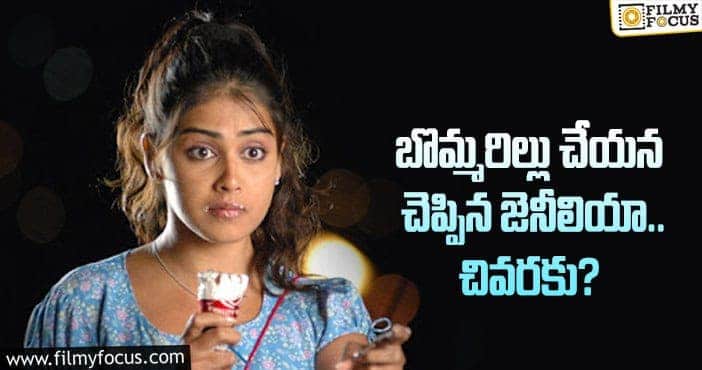 Genelia: హీరోయిన్ జెనీలియాకు బన్నీ నచ్చజెప్పారా?