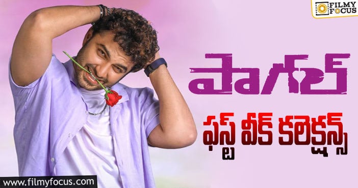 Paagal Collections: ఓపెనింగ్స్ బాగానే వచ్చాయి కానీ..!