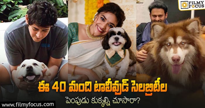 ఈ 40 మంది టాలీవుడ్ సెలబ్రిటీల పెంపుడు కుక్కల్ని చూసారా?