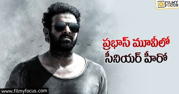 Prabhas: సలార్ లో సీనియర్ హీరో పాత్రే కీలకమా?