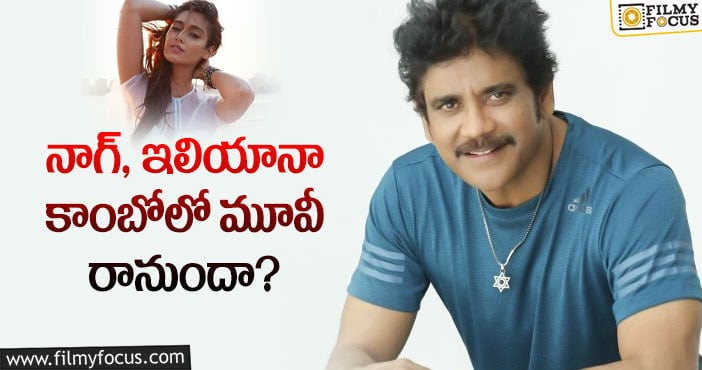 ileana, Nagarjuna: ఇలియానాకు నాగ్ ఓకే చెబుతారా?