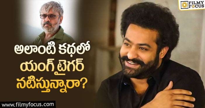 Jr NTR, Sanjay Leela: ఎన్టీఆర్ భన్సాలీ మూవీ టైటిల్ ఇదేనా?