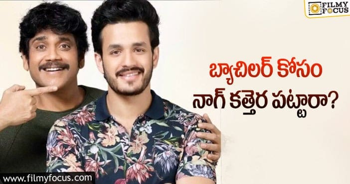 Nagarjuna, Akhil: కొడుకు సక్సెస్ కోసం కష్టపడుతున్న నాగ్!