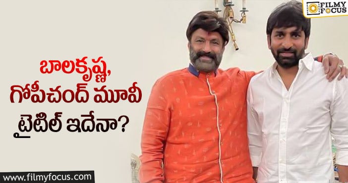 Balakrishna, Gopichand Malineni: బాలయ్య సినిమాకు టైటిల్ ఫిక్స్ అయినట్లేనా?