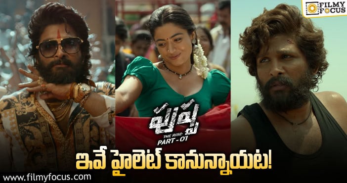 Pushpa Movie: పుష్ప మూవీలో ఆకట్టుకునే అంశాలివేనా?