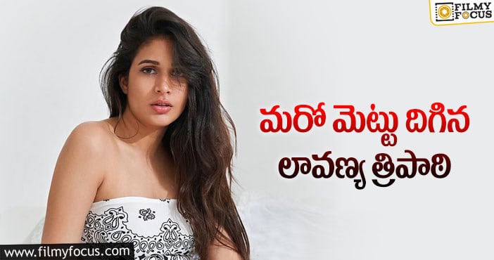 Lavanya Tripathi: యంగ్ హీరో మూవీకి లావణ్య ఓకే చెప్పారా?