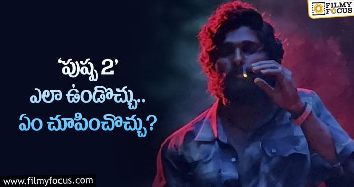 Pushpa Movie: ‘పుష్ప ది రైజ్‌’ ప్రశ్నలకు ‘ది రూల్‌’లో సమాధానాలు వస్తాయా?