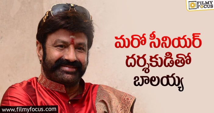 Balakrishna: బాలయ్యనే కావాలంటున్న సీనియర్ దర్శకుడు