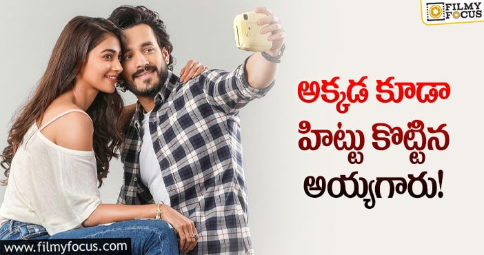 Akhil: బ్లాక్ బస్టర్ బ్యాచిలర్ టీఆర్పీ ఎంతో తెలుసా?