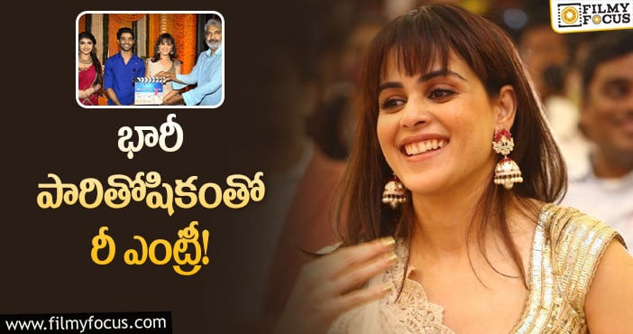 Genelia Remuneration: గాలి కిరీటి సినిమాలో జెనీలియా… ఎలా?