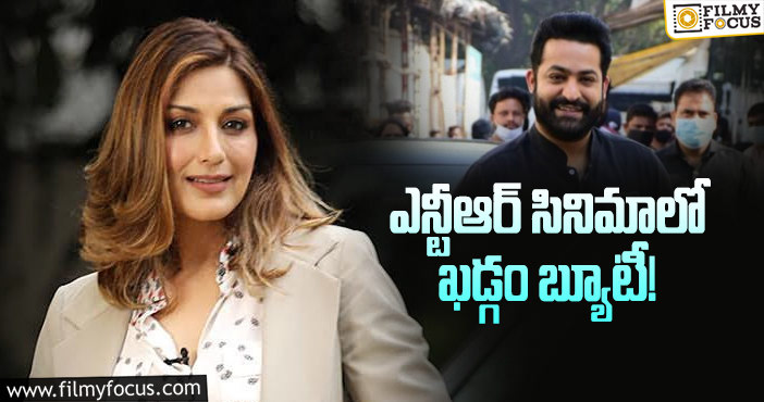 Sonali Bendre, Jr NTR: 18 ఏళ్ళ తరువాత.. సోనాలి బింద్రే టాలీవుడ్ రీ ఎంట్రీ