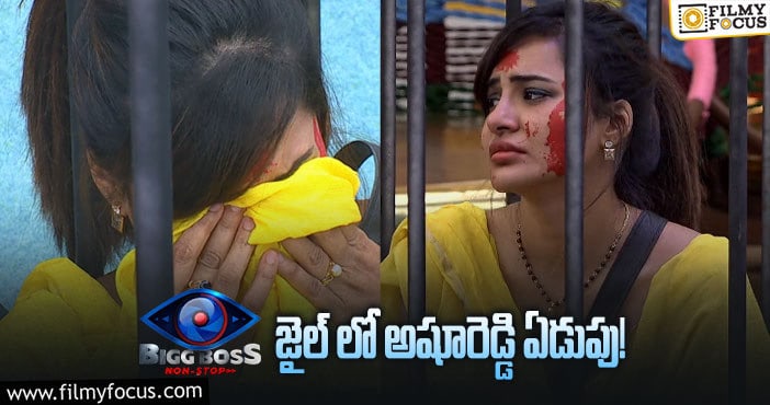 Ashu Reddy: శివ చేసిన ఆ పనివల్లే అషూరెడ్డి బాధపడిందా ? అసలు జరిగింది ఇదే..!