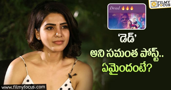 Samantha: ఆ సినిమాలకు సమంత అభిమానిగా మారిందా?