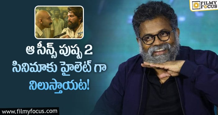 Sukumar: పుష్ప2 మూవీ సీక్రెట్స్ రివీల్ చేసిన సుకుమార్!