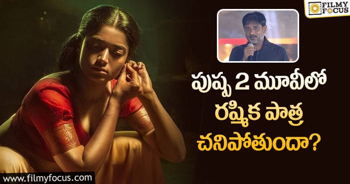 Pushpa2: ఆ వార్తలపై క్లారిటీ ఇచ్చిన పుష్ప2 నిర్మాత!