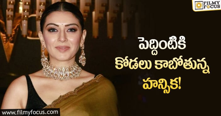 Hansika Marriage: హన్సిక పెళ్లి చేసుకోబోతున్న వ్యక్తి బ్యాక్ గ్రౌండ్ ఏంటో తెలుసా?