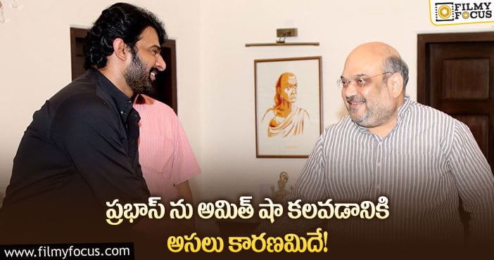 Prabhas, Amit Shah: ఆ రీజన్ వల్లే అమిత్ షా ప్రభాస్ ను కలుస్తున్నారా?