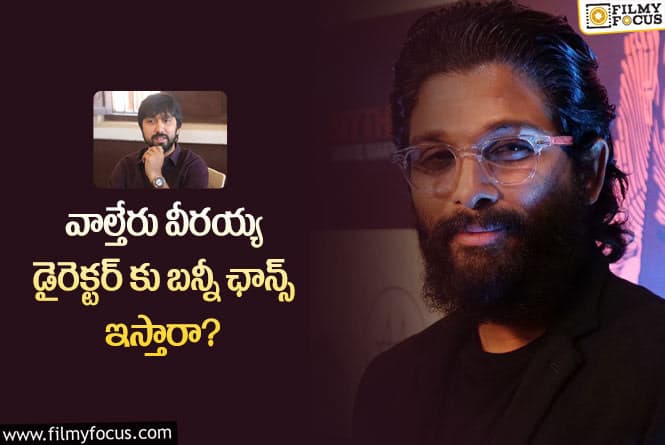 Allu Arjun: పుష్ప2 సినిమా తర్వాత బన్నీ ప్రాజెక్ట్ ఇదేనా?