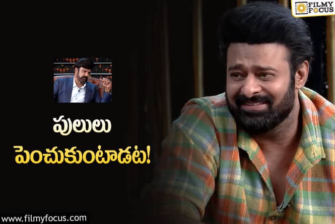 Prabhas: ప్రభాస్‌ అడవికి మూడు నెలల్లో బాలకృష్ణ.. డీల్‌ ఓకే!