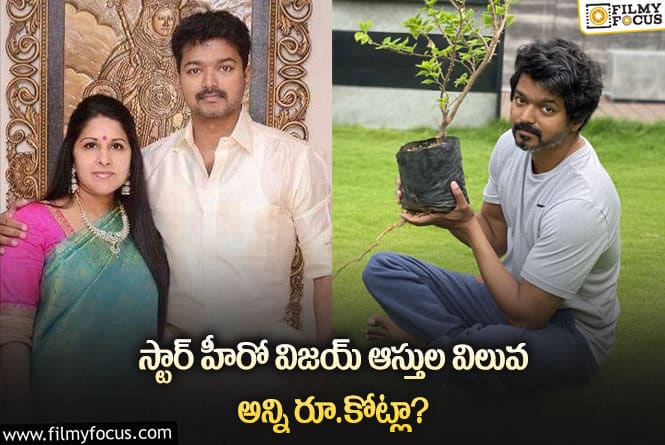 Vijay: వామ్మో.. విజయ్ అన్ని రూ.కోట్ల ఆస్తులు సంపాదించారా?