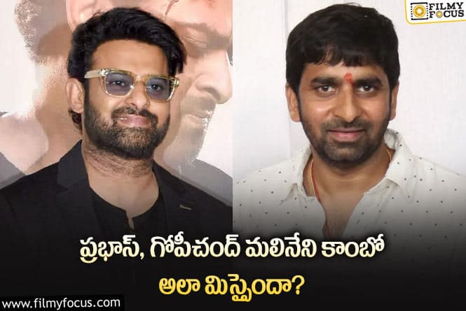 Prabhas: రవితేజ హిట్ మూవీని ప్రభాస్ మిస్ చేసుకున్నారా?