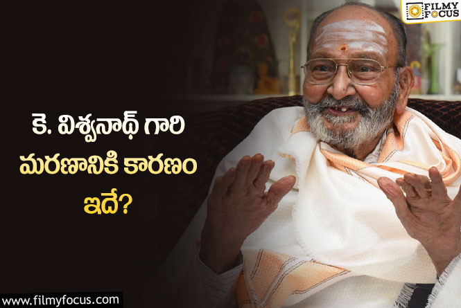 Viswanath: కళాతపస్వి  కె.విశ్వనాథ్ గారి మరణం వెనుక అసలు కారణం..!