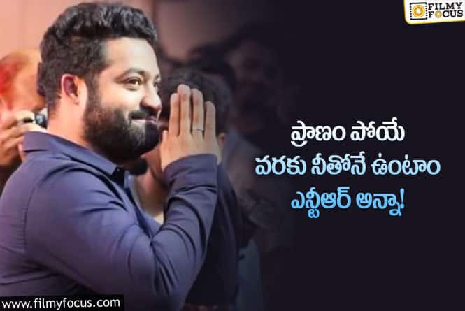 Jr NTR: మేము నీకు తోడుగా ఉన్నాం.. తారక్ ఫ్యాన్స్ కామెంట్స్ వైరల్!