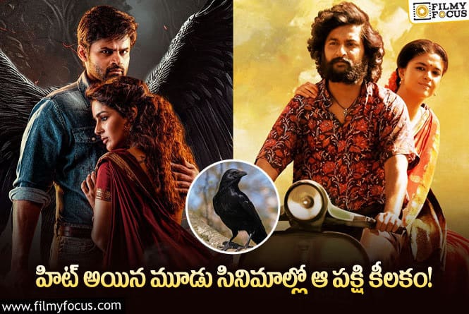 Crow Sentiment: కాకులే కీలకం.. టాలీవుడ్‌లో నయా సెంటిమెంట్..ఆ మూడు కొత్త సినిమాలు ఇవేనా?