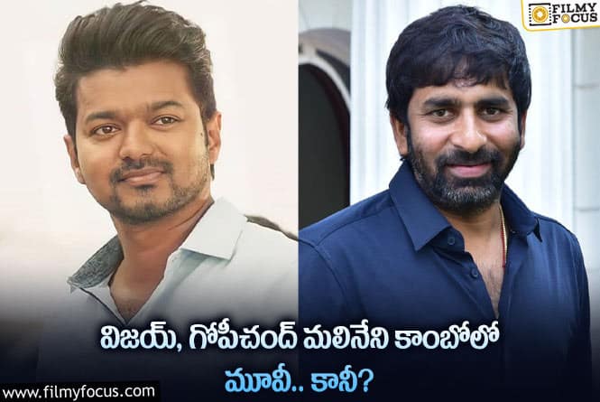 Vijay , Gopichand Malineni: విజయ్ గోపీచంద్ కాంబోలో అలాంటి సినిమాను ప్లాన్ చేశారా?