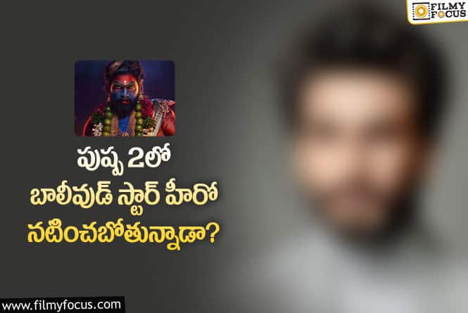 Pushpa2: పుష్ప2లో ఆ బాలీవుడ్ హీరోను పెట్టడానికి కారణం అదేనా?