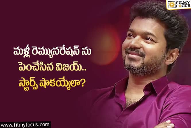 Vijay: రెమ్యునరేషన్ విషయంలో రికార్డులు సృష్టిస్తున్న విజయ్.. కానీ?