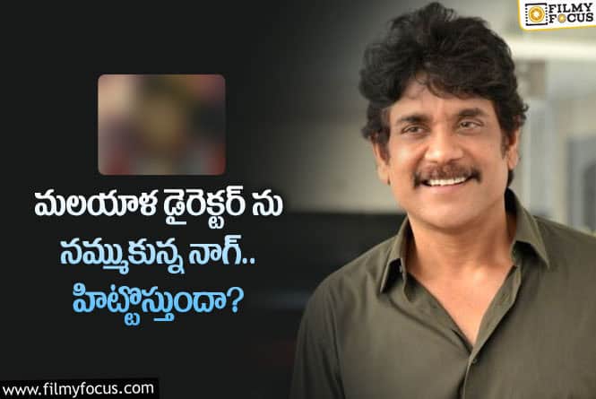 Nagarjuna: ఆ డైరెక్టర్ నాగ్ కు భారీ బ్లాక్ బస్టర్ హిట్ ఇస్తారా?