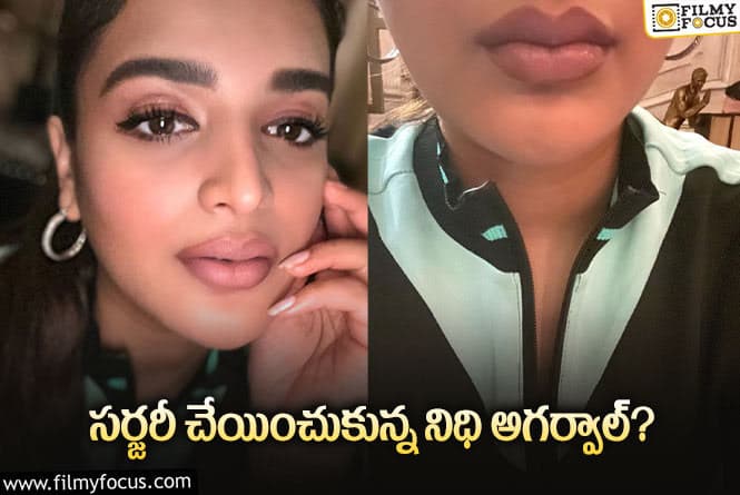 Nidhhi Agerwal: ఆ పార్ట్ కు నిధి సర్జరీ చేయించుకుందట.. ట్రోలింగ్ షురూ