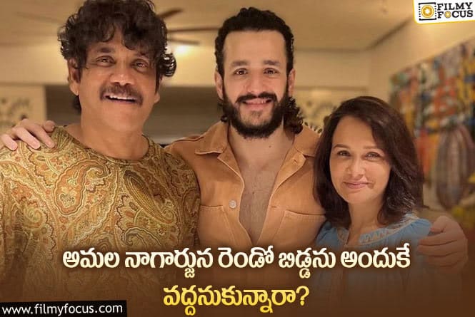 Amala, Nagarjuna: అమల రెండో బిడ్డను కనకపోవడానికి అదే కారణమా?