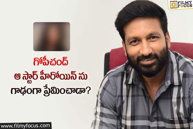 Gopichand: ఆ కారణంగానే గోపిచంద్ ఆ హీరోయిన్  వదిలేశాడా..!