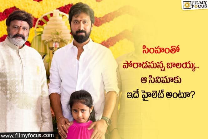 Balakrishna: బాలయ్య కొత్త మూవీపై షాకింగ్ అప్ డేట్.. ఏం జరిగిందంటే?