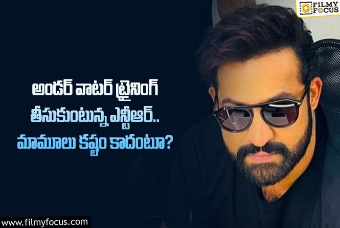 Jr NTR: ఆ మూవీ కోసం భారీ రిస్క్ చేస్తున్న తారక్.. ఫ్యాన్స్ కాలర్ ఎగరేసేలా?