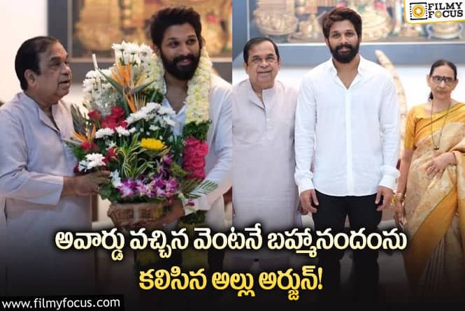 Brahmanandam, Allu Arjun: అల్లు అర్జున్ ను బ్రహ్మానందం కలవడానికి కారణం అదేనా..!