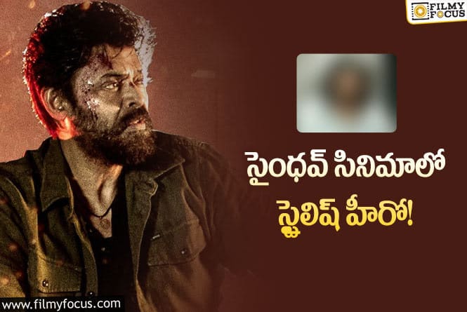 Saindhav: సైంధవ్ లో ఆ హీరో ని చూసి పుల్ ఖుషి లో ఫ్యాన్స్!