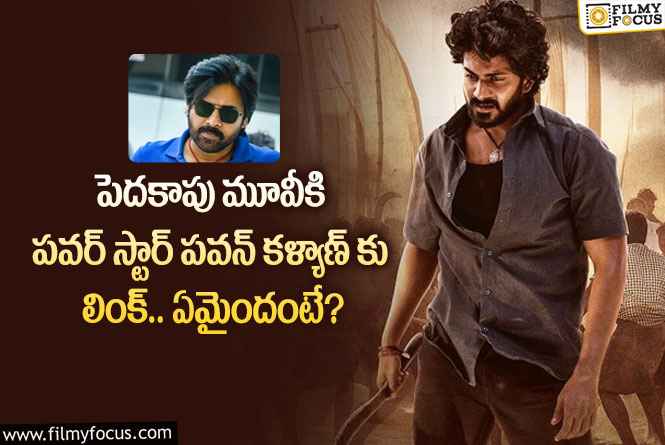 Pawan Kalyan: పవన్ కళ్యాణ్ కు పెదకాపు మూవీకి లింక్ ..ఏం జరిగిందంటే?